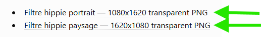 The two transparent PNG files generated by ChatGPT: portrait filter and landscape filter