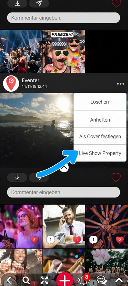 Eintrag Live Show Property eines Videos