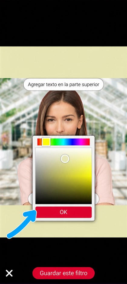 selector de color del marco