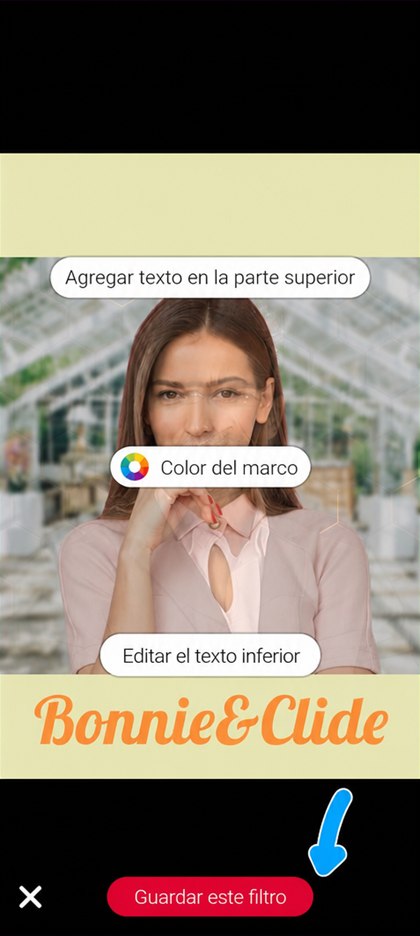 botón guardar este filtro