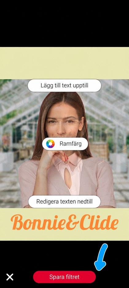 knappen Spara filtret