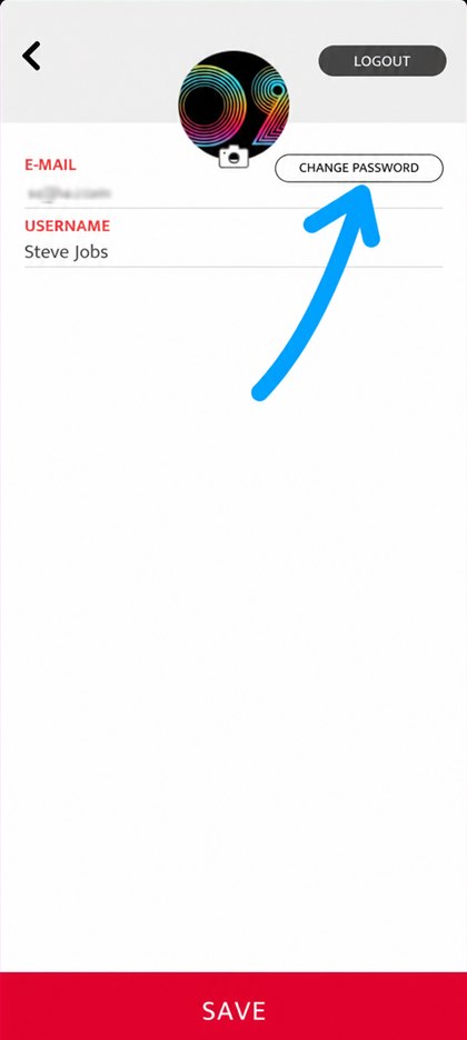 change password button