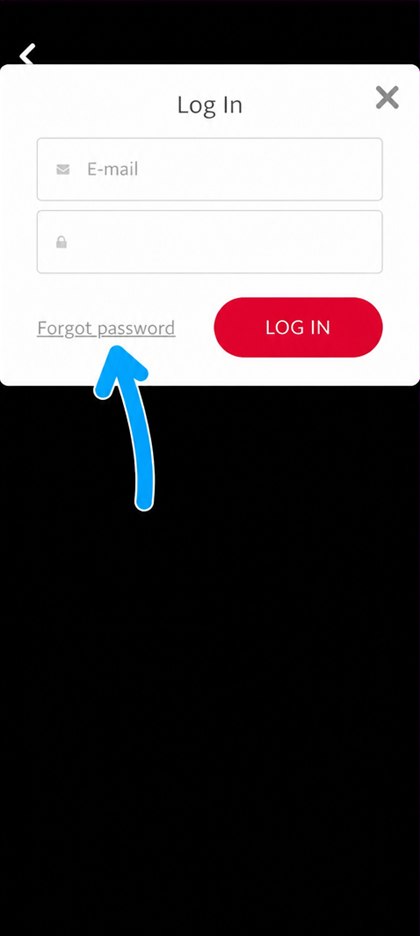 forgot password link